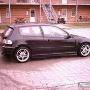 Honda civic *solgt*