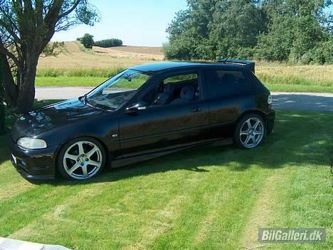 Honda Civic *R.I.P.* - billedet er taget i min kammirats have! billede 1