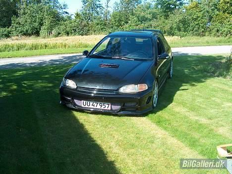 Honda Civic *R.I.P.* billede 2