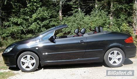Peugeot 307 CC billede 5