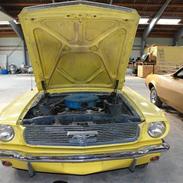 Ford Mustang hardtop "momse"