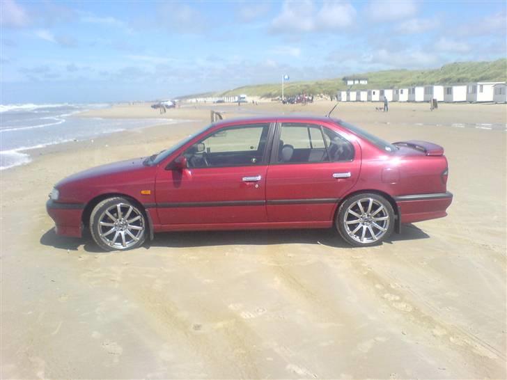 Nissan primera  R . I . P billede 7