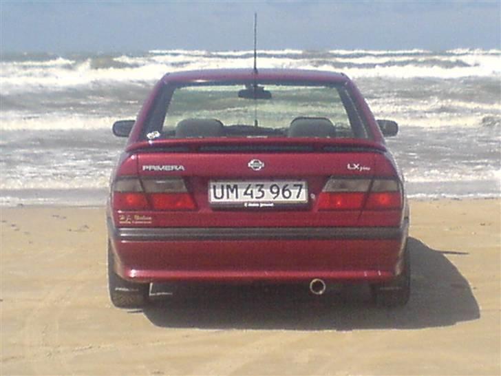 Nissan primera  R . I . P billede 9