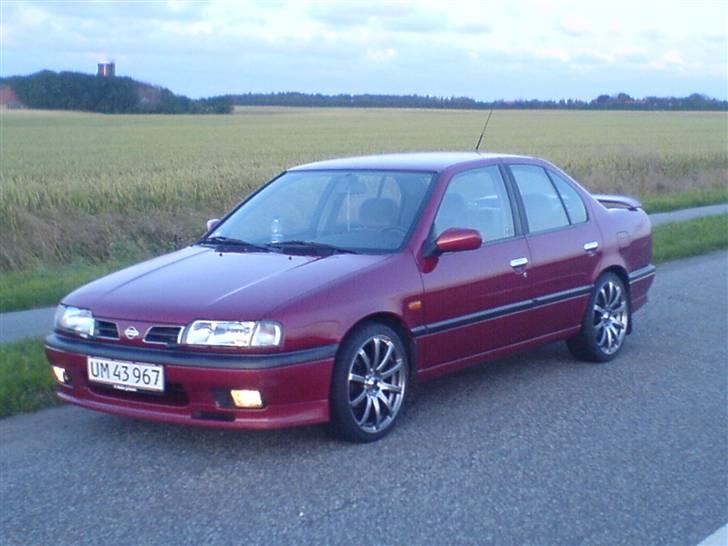 Nissan primera  R . I . P - på vej hjem fra byen kl 05 billede 11