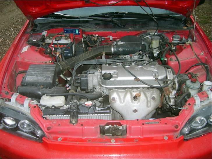 Honda Civic Badboy *Solgt* billede 9