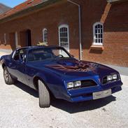 Pontiac Trans-am Targa