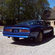 Pontiac Trans-am Targa