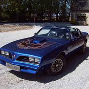 Pontiac Trans-am Targa