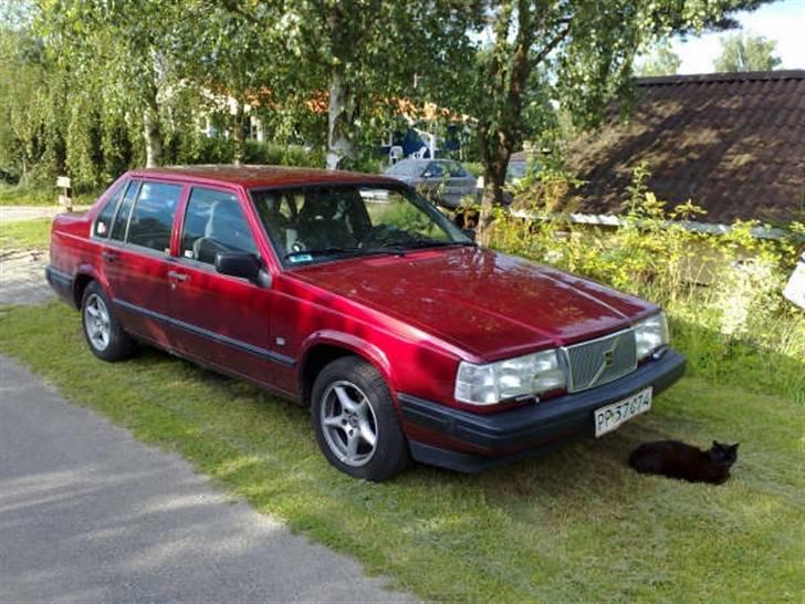 Volvo 940 - "Oli the cat" passer på fars dyt... billede 1