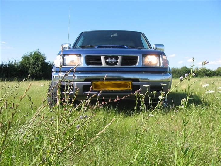 Nissan Navara 2,5 TDI (SOLGT) billede 9