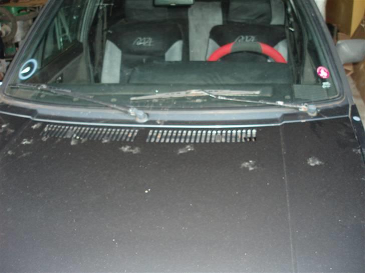 VW Golf 2 1.6 GTD (solgt) - ja, kattene er vilde med at grisse kølerhjelmen til :D billede 10