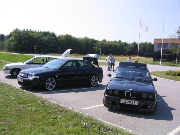 BMW 320i Cabrio - I godt selskab billede 15