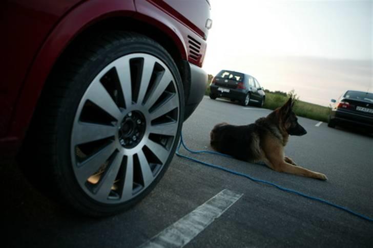 VW VW Multivan Camper - "vagten" billede 3