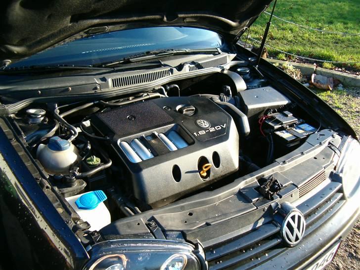 VW Golf IV  Trendline billede 14