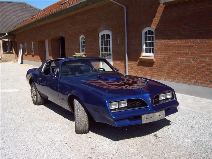 Pontiac Trans-am Targa billede 1