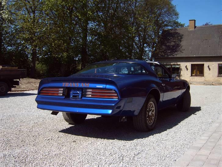 Pontiac Trans-am Targa billede 2