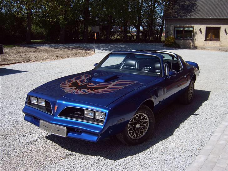 Pontiac Trans-am Targa billede 3