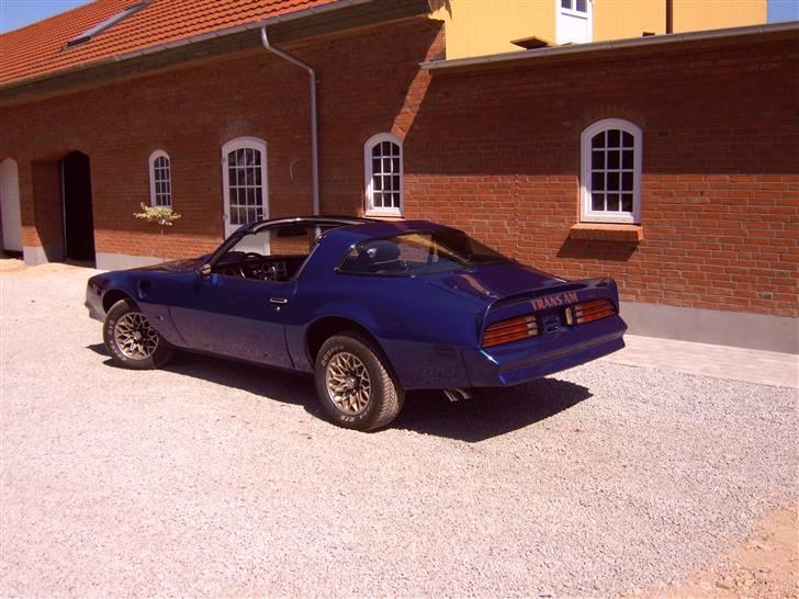 Pontiac Trans-am Targa billede 5