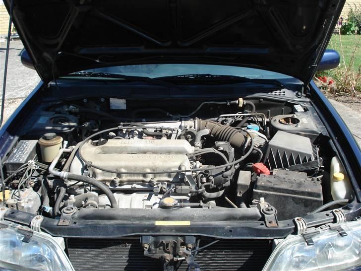 Nissan Primera 2,0i SE(SOLGT) - Det er her de 130 vilde hester ligger billede 4