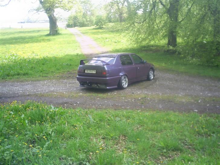 VW vento projekt  død  billede 20