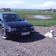 Audi A3 1,9 TDI