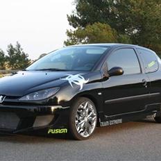Peugeot 206 1,6 S16