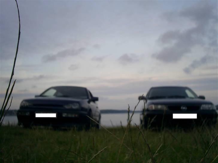 VW Golf III (SOLGT) billede 19