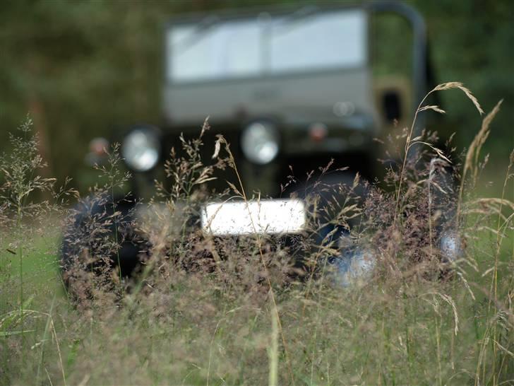 Jeep CJ2A billede 17