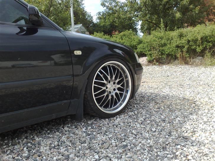 VW Passat v tdi 3b SOLGT billede 13