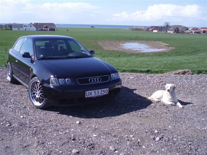 Audi A3 1,9 TDI billede 1