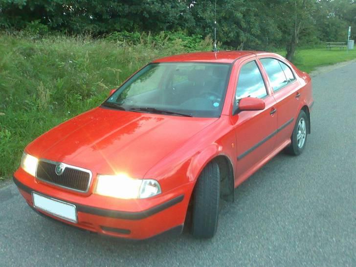 Skoda Octavia TDI billede 1