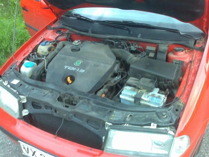 Skoda Octavia TDI billede 10