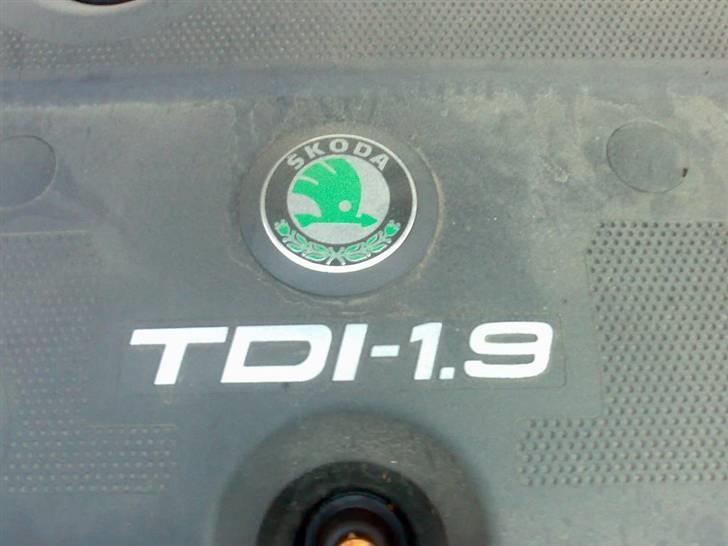 Skoda Octavia TDI billede 11