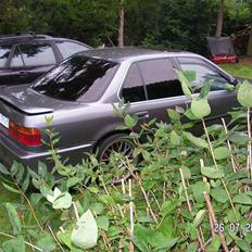 Honda Accord EXRi (solgt)