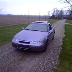Opel Calibra - SOLGT