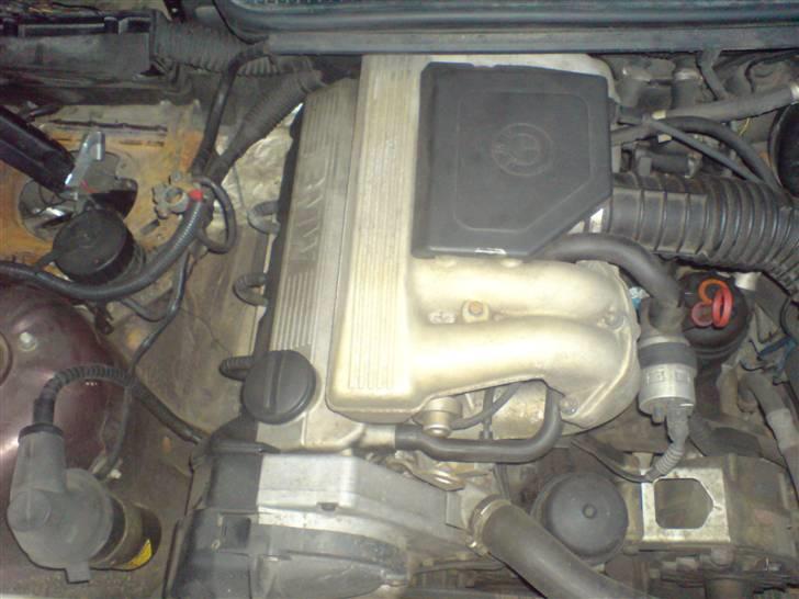 BMW e36 SOLGT - gammel 318 motor billede 4