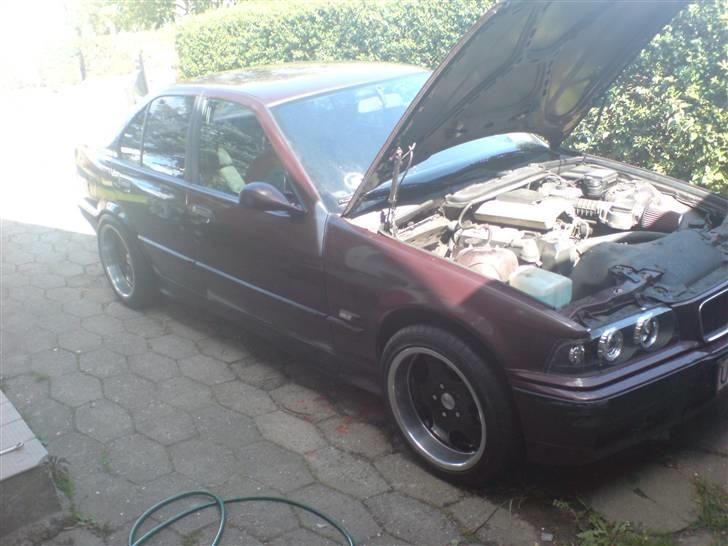 BMW e36 SOLGT - Bilen da jeg hentede den billede 5