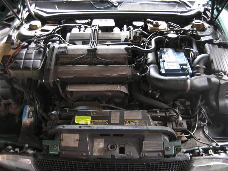 Fiat Coupe 16V Turbo "sommer" billede 12