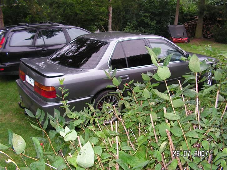 Honda Accord EXRi (solgt) billede 3