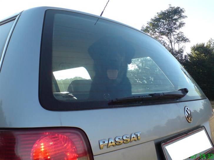 VW Passat Variant 3BG *solgt - Vagthunden ser på :) billede 10