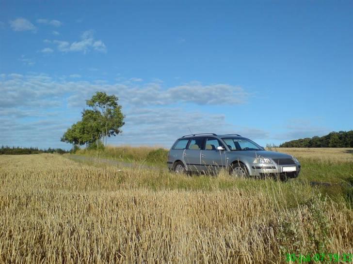 VW Passat Variant 3BG *solgt billede 12