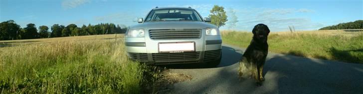 VW Passat Variant 3BG *solgt billede 14