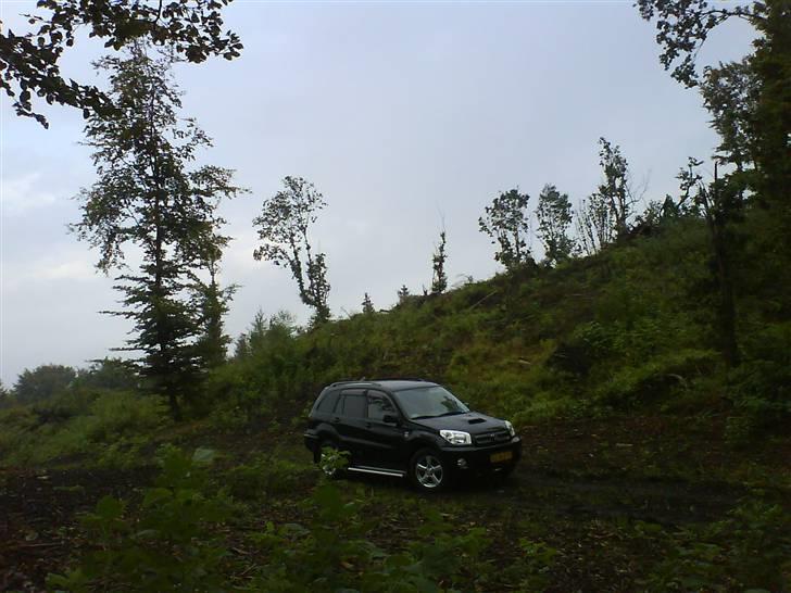 Toyota Rav4 2003 (solgt) billede 2