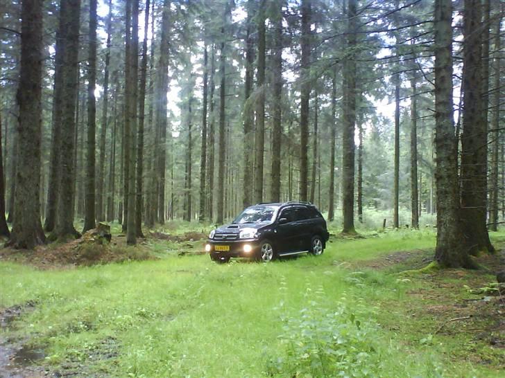 Toyota Rav4 2003 (solgt) billede 5