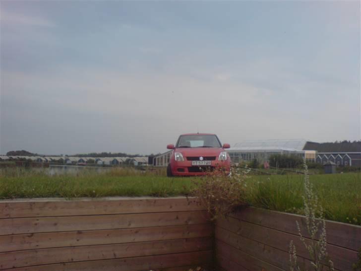 Suzuki Swift 1.3 GL-A billede 3