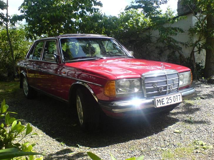 Mercedes Benz W123 240D  **1.200.000 km - 11. Juni efter en vask billede 11