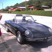 Alfa Romeo Spider