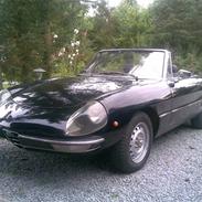Alfa Romeo Spider