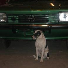 Opel Kadett c coupe Solgt