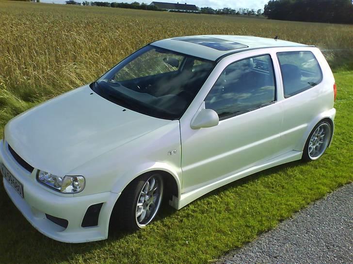 VW Polo billede 1